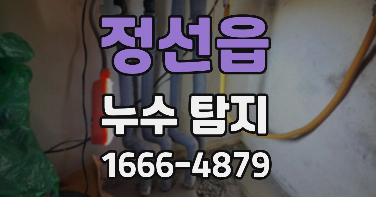 정선읍 누수 탐지