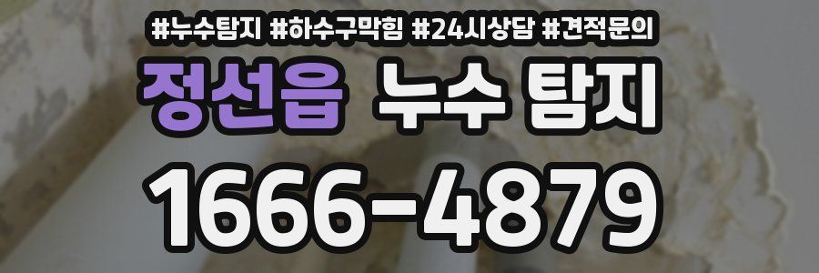 정선읍 누수 탐지