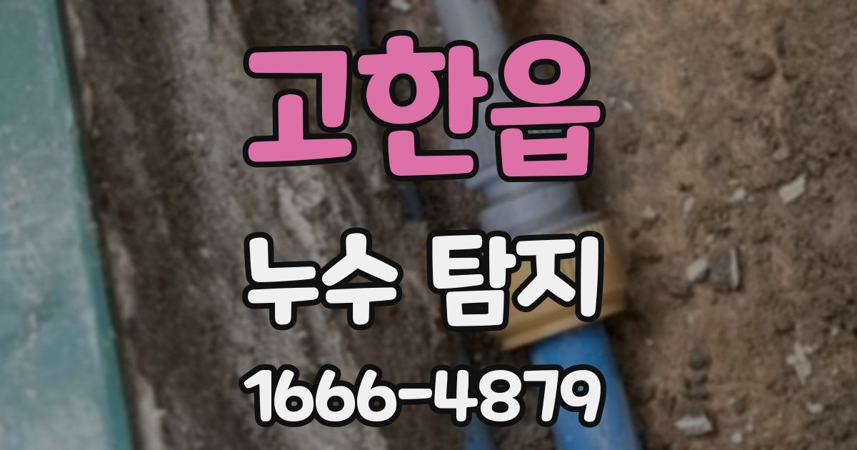 고한읍 누수 탐지