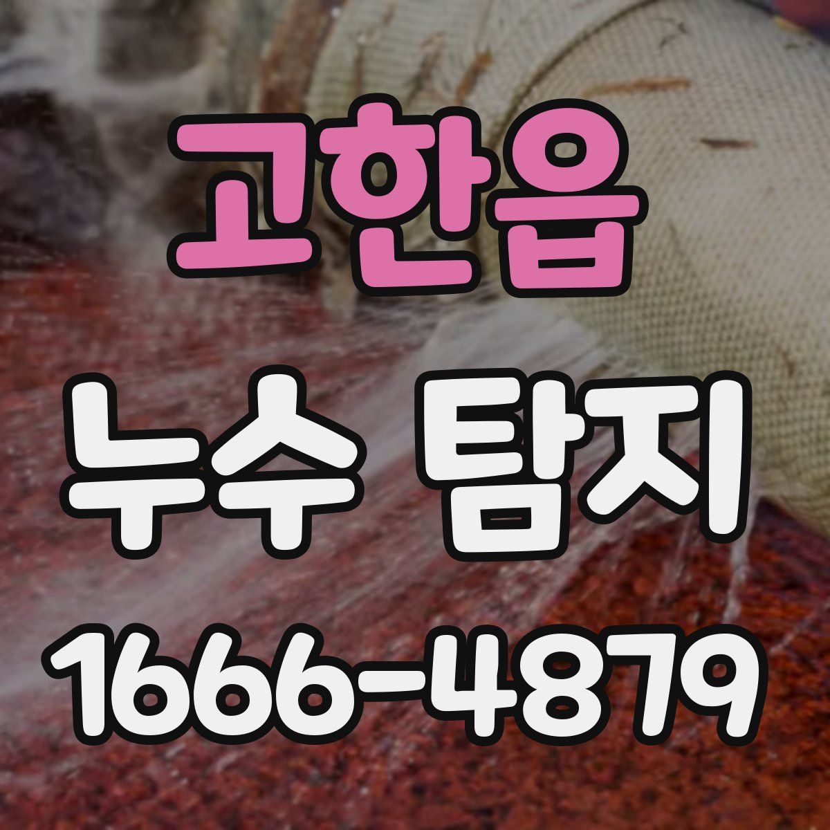 고한읍 누수 탐지