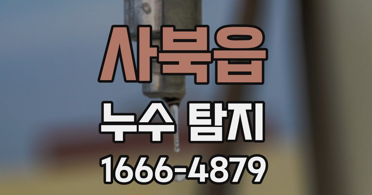 사북읍 누수 탐지