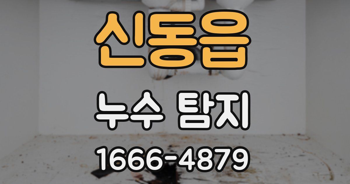 신동읍 누수 탐지
