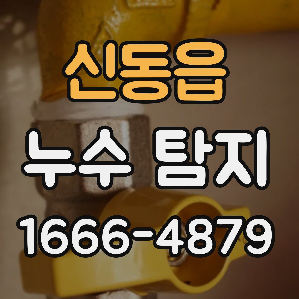 신동읍 누수 탐지