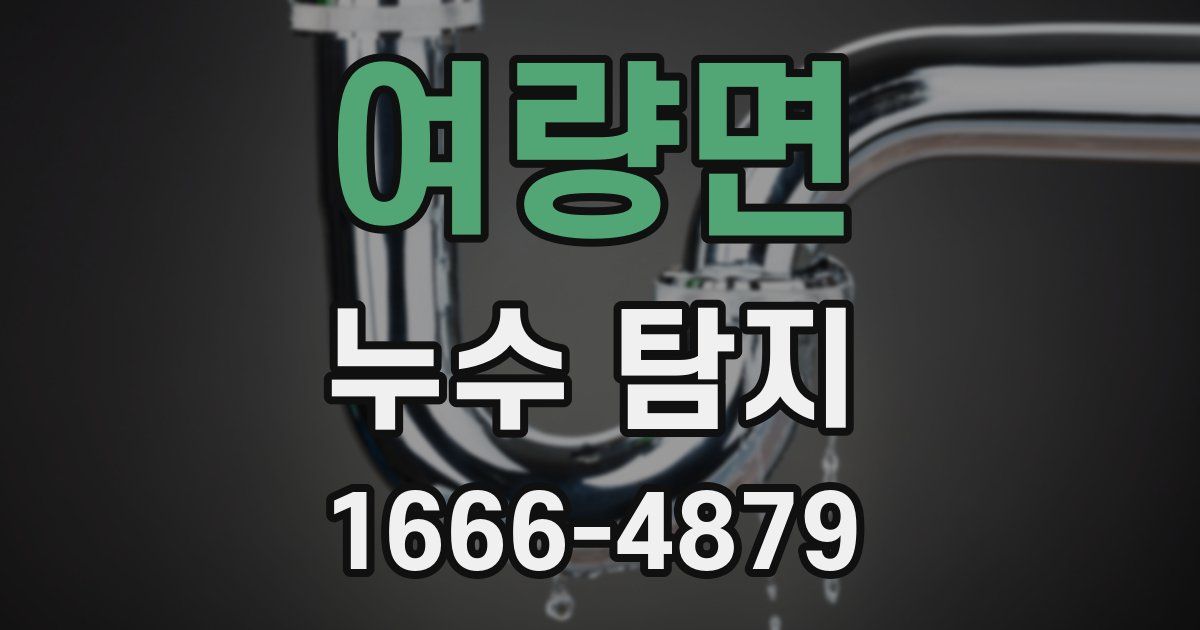 여량면 누수 탐지