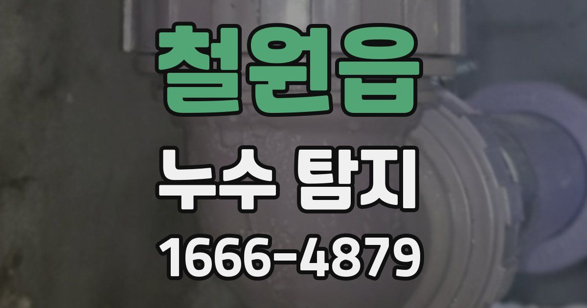 철원읍 누수 탐지