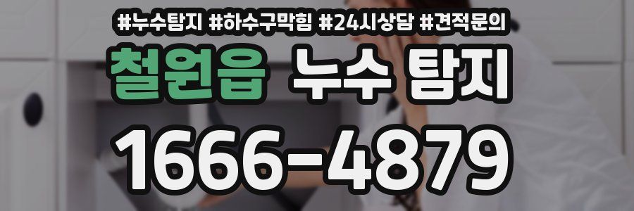 철원읍 누수 탐지