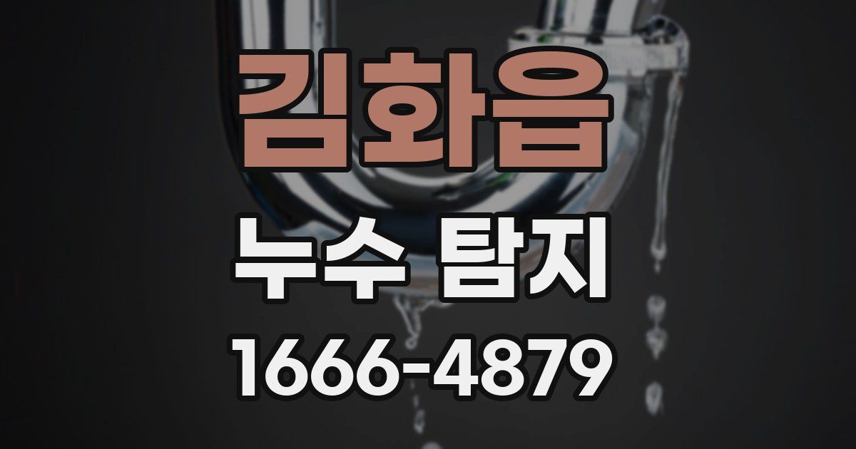김화읍 누수 탐지