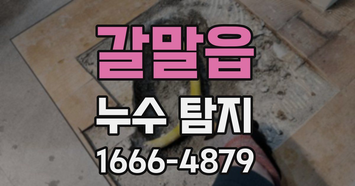 갈말읍 누수 탐지