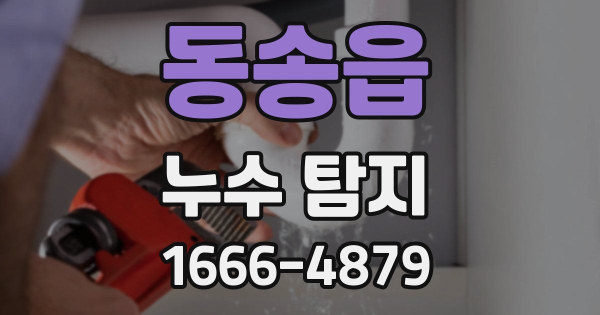 동송읍 누수 탐지