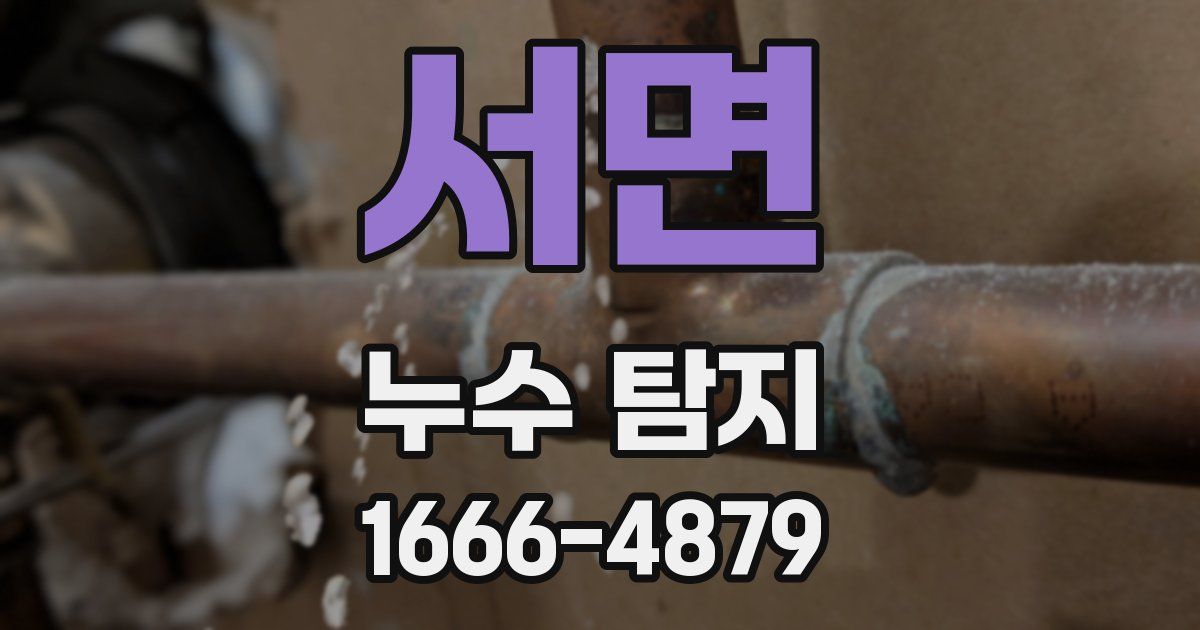 서면 누수 탐지