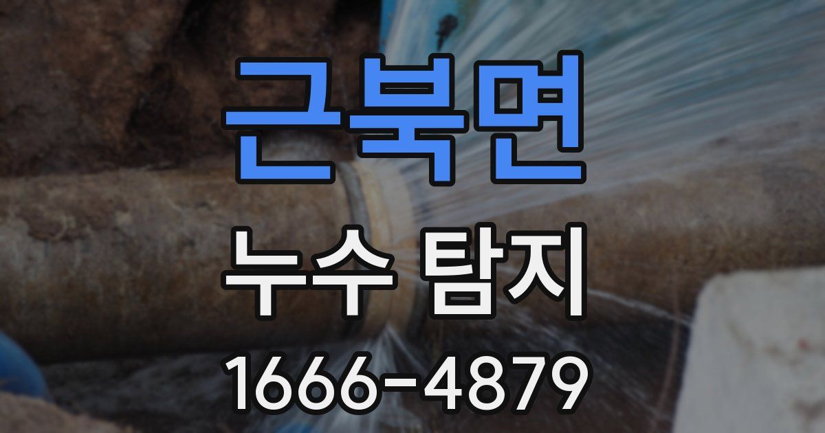 근북면 누수 탐지