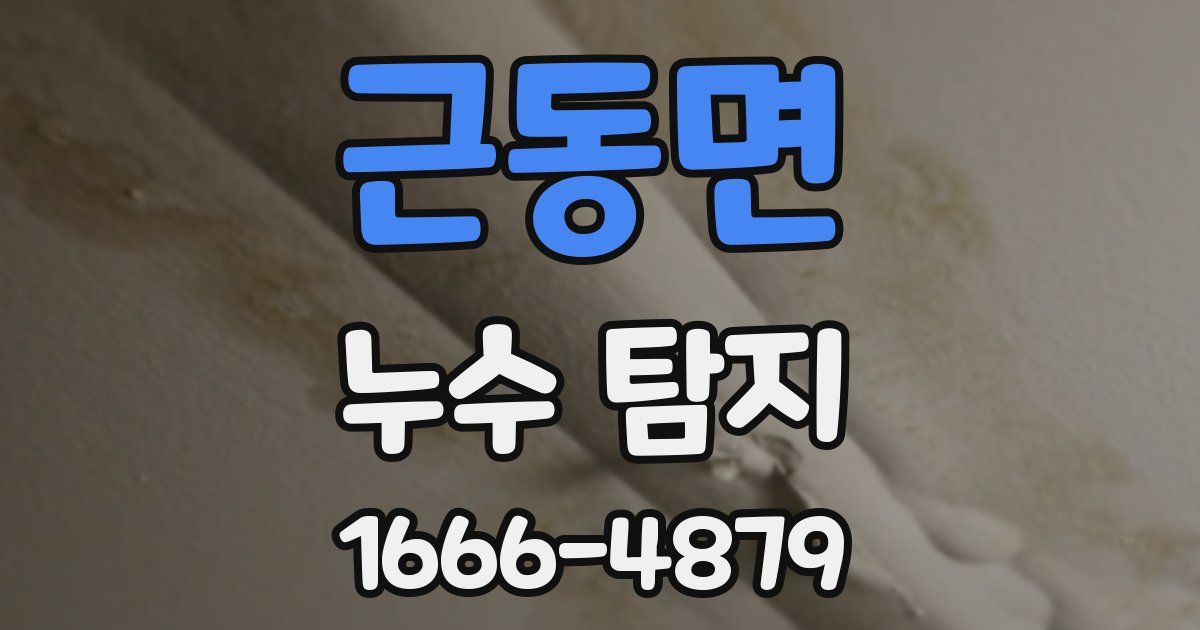 근동면 누수 탐지