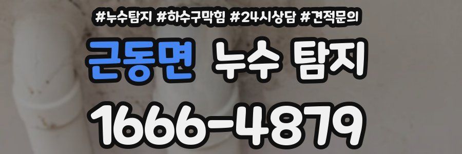 근동면 누수 탐지
