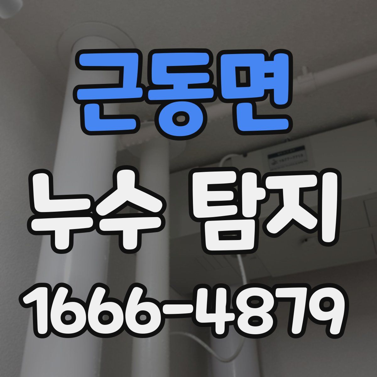 근동면 누수 탐지