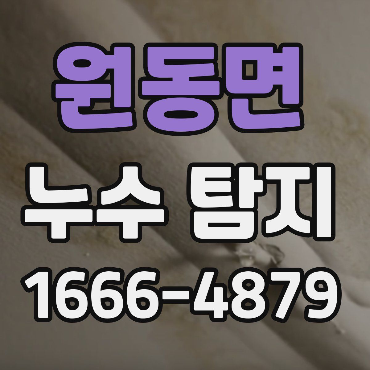 원동면 누수 탐지