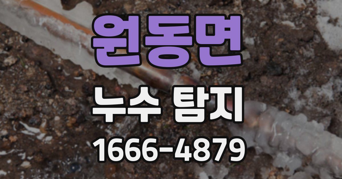 원동면 누수 탐지