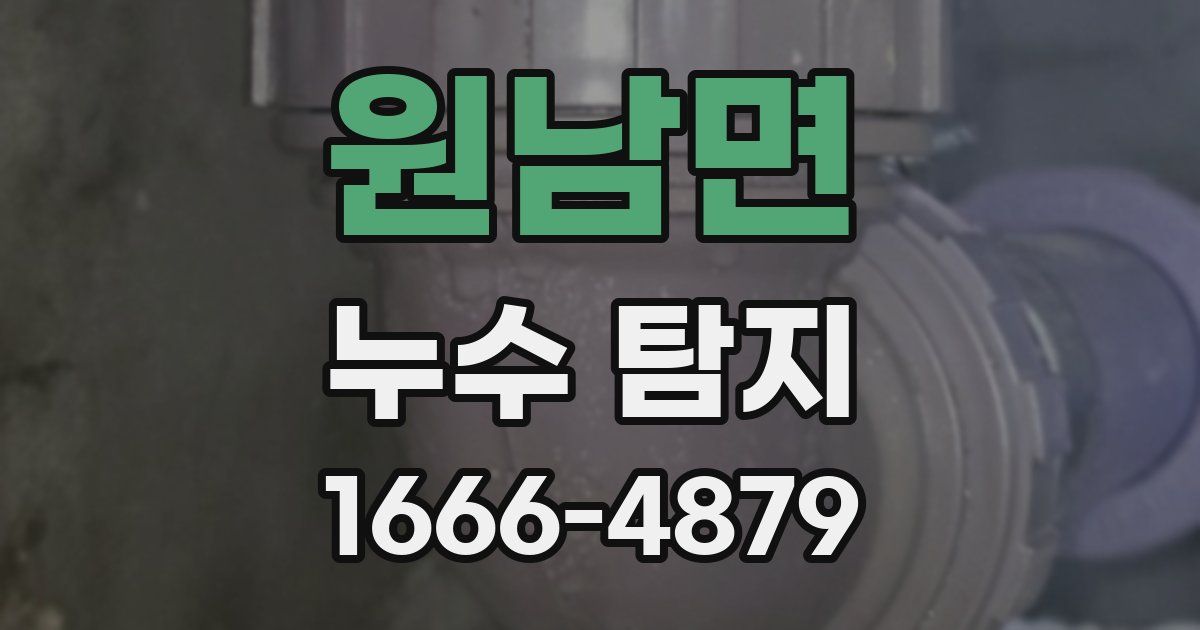 원남면 누수 탐지