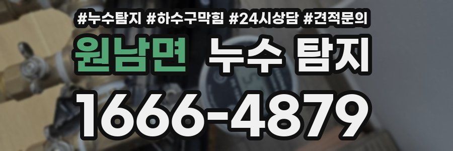 원남면 누수 탐지