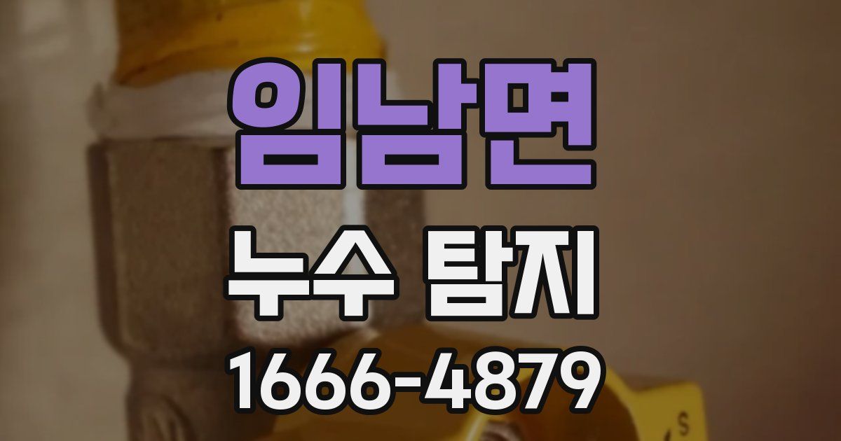 임남면 누수 탐지