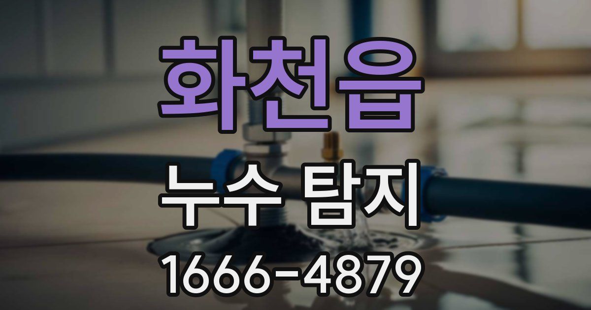 화천읍 누수 탐지