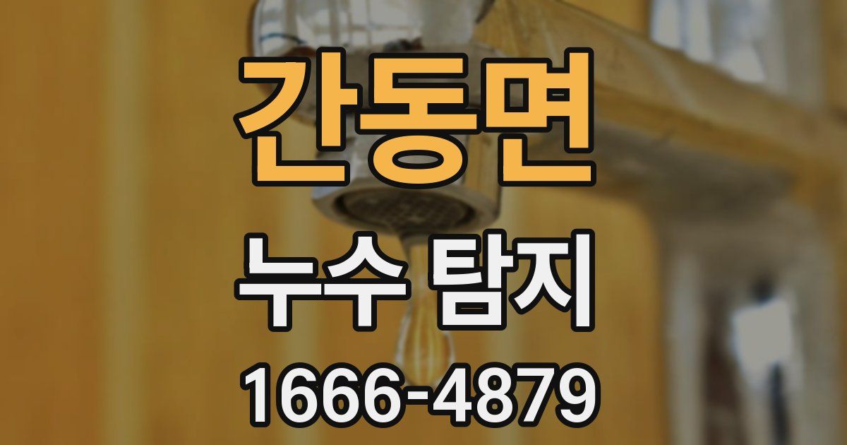 간동면 누수 탐지