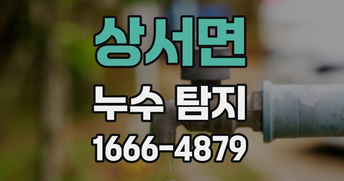 상서면 누수 탐지