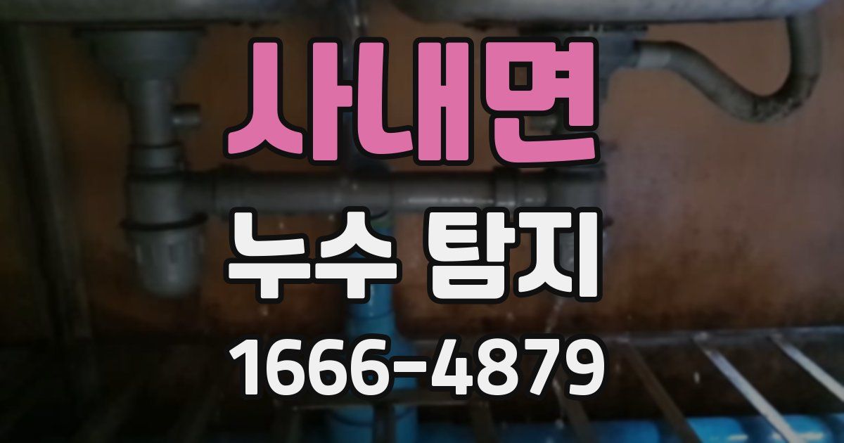 사내면 누수 탐지