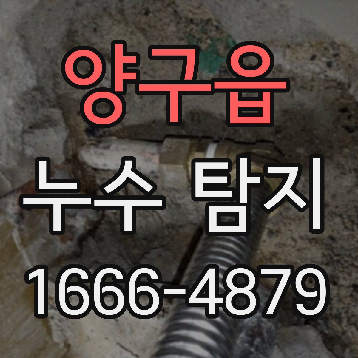 양구읍 누수 탐지