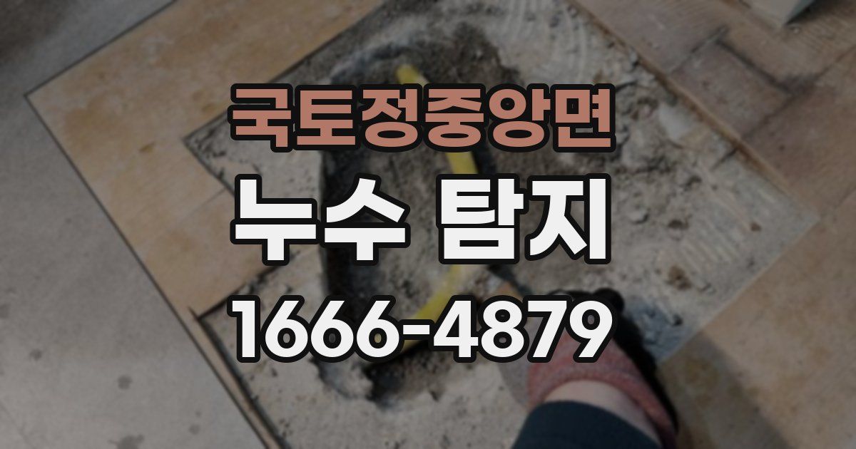 국토정중앙면 누수 탐지