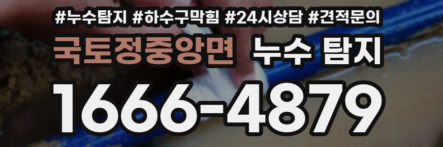 국토정중앙면 누수 탐지