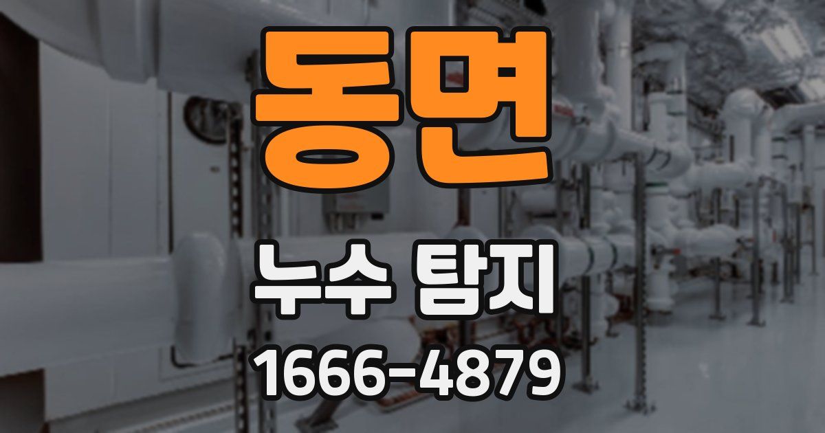 동면 누수 탐지