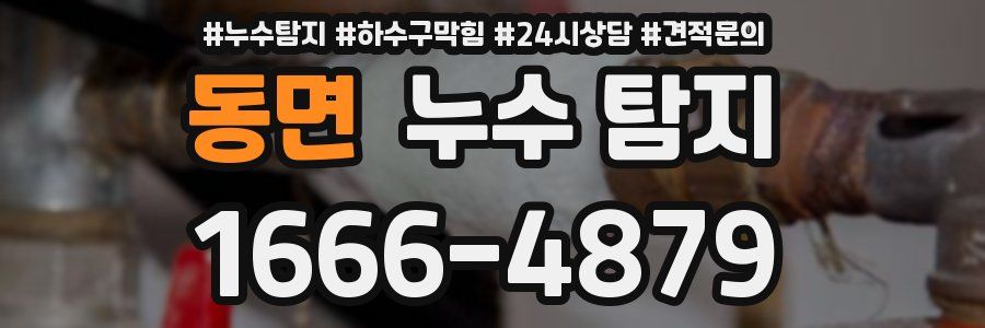 동면 누수 탐지