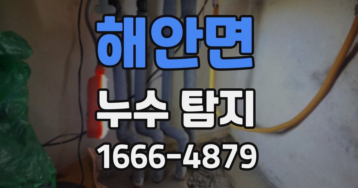 해안면 누수 탐지