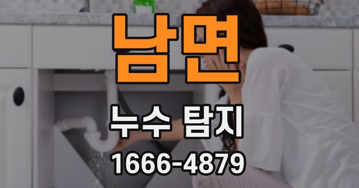남면 누수 탐지