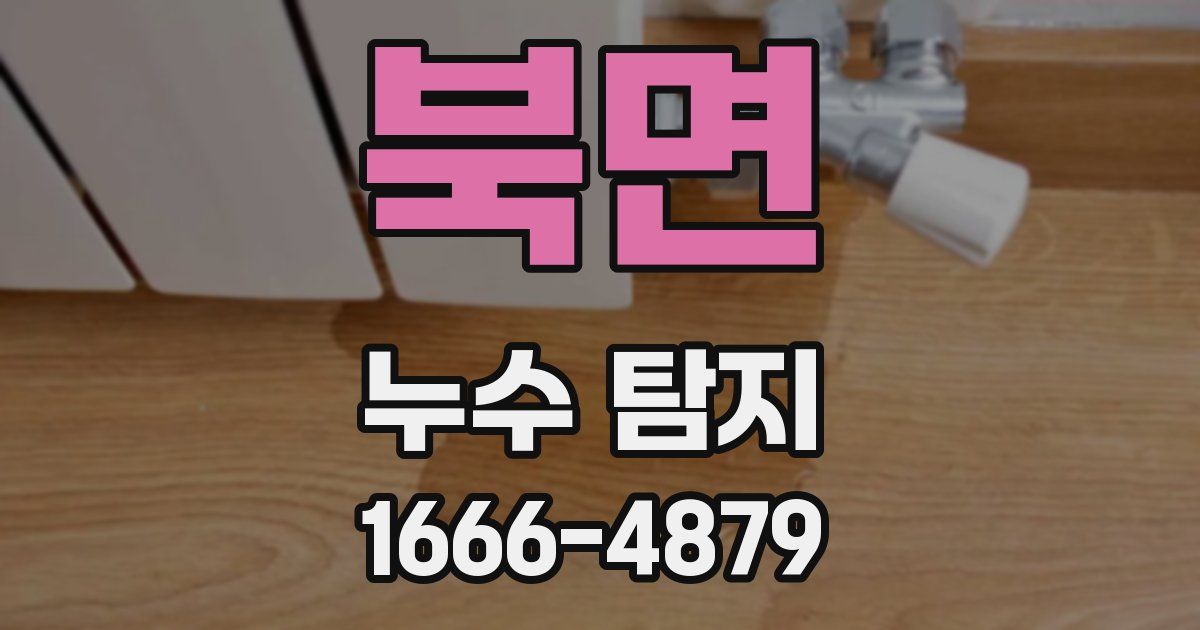 북면 누수 탐지