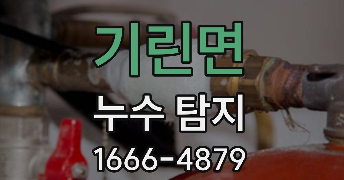 기린면 누수 탐지