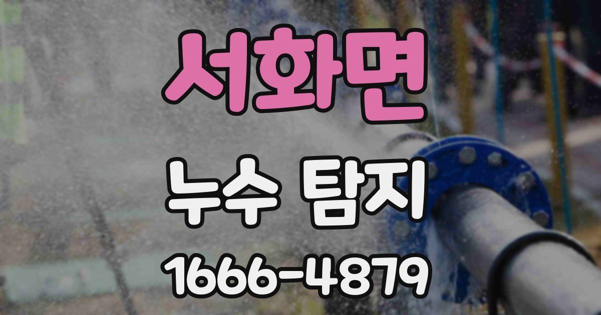 서화면 누수 탐지