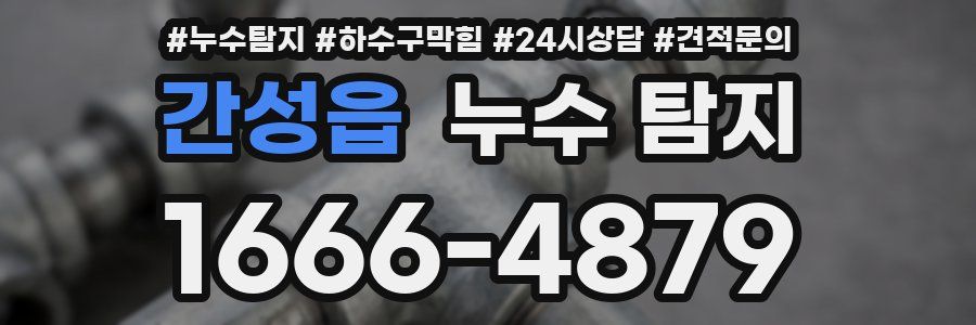 간성읍 누수 탐지