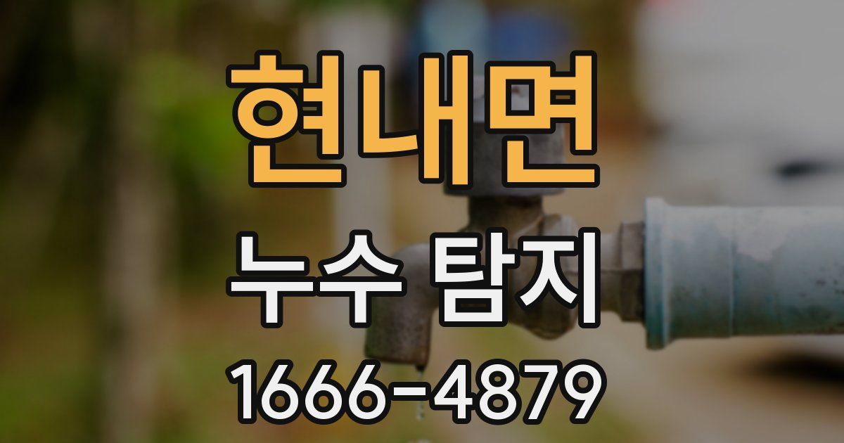 현내면 누수 탐지