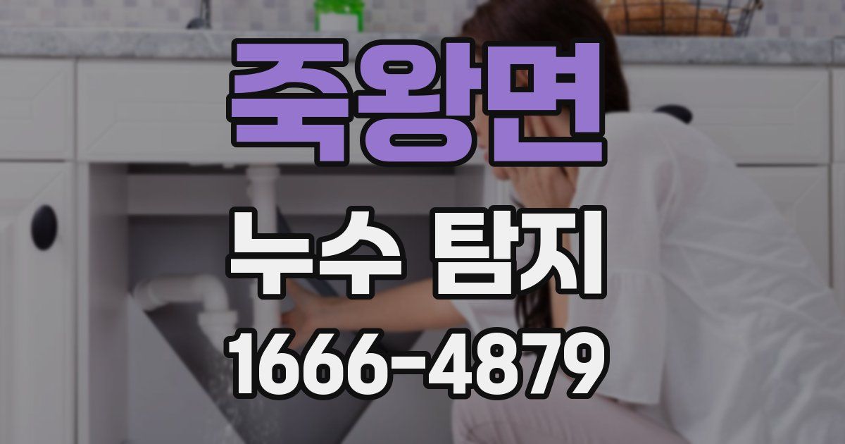죽왕면 누수 탐지