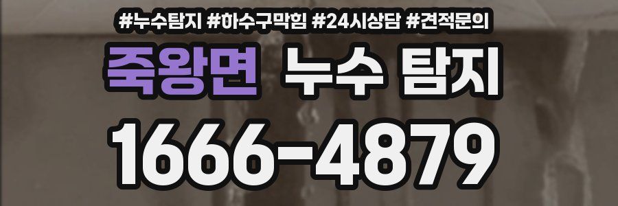 죽왕면 누수 탐지