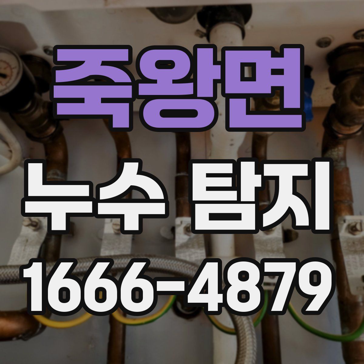 죽왕면 누수 탐지