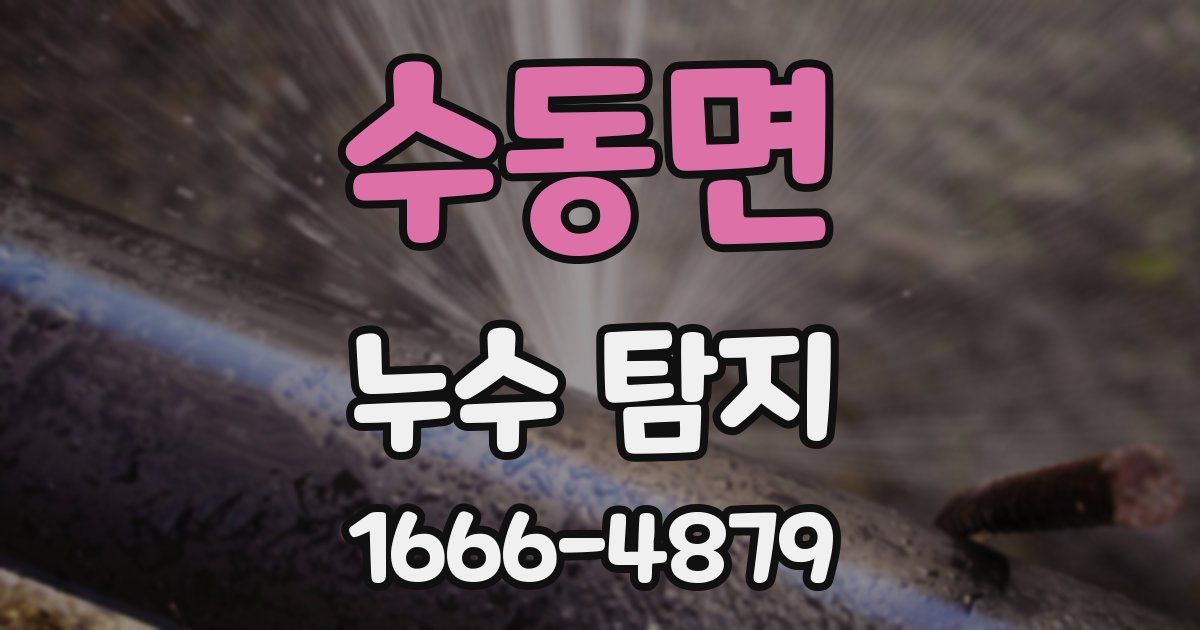 수동면 누수 탐지