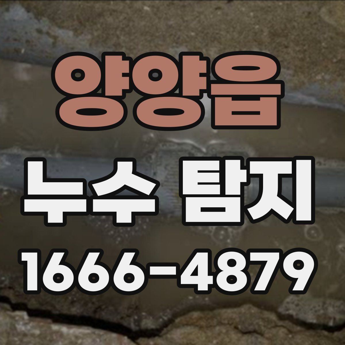 양양읍 누수 탐지 업체 선정 시 피해야 할 실수