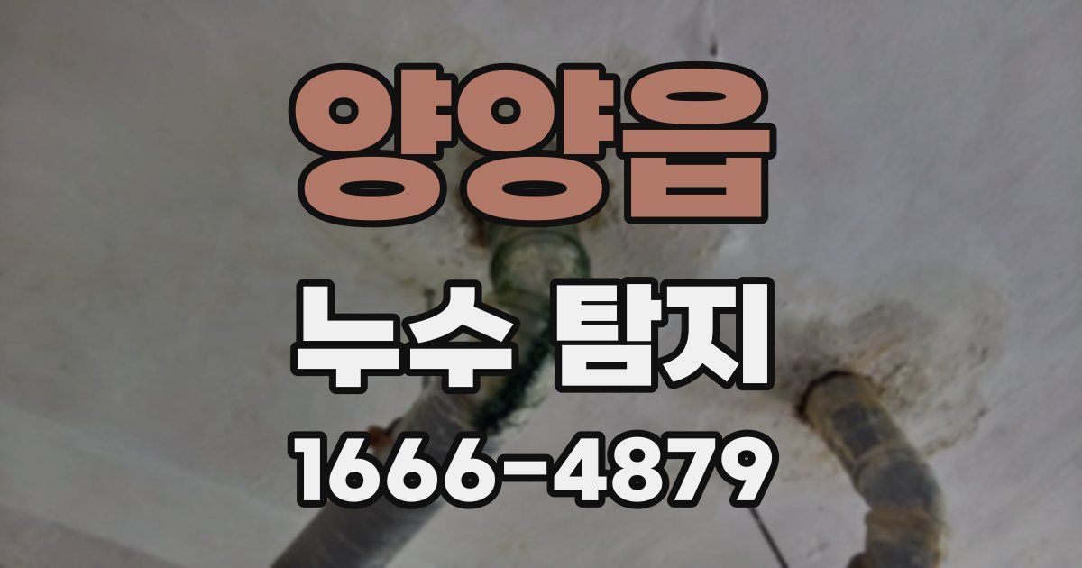 양양읍 누수 탐지