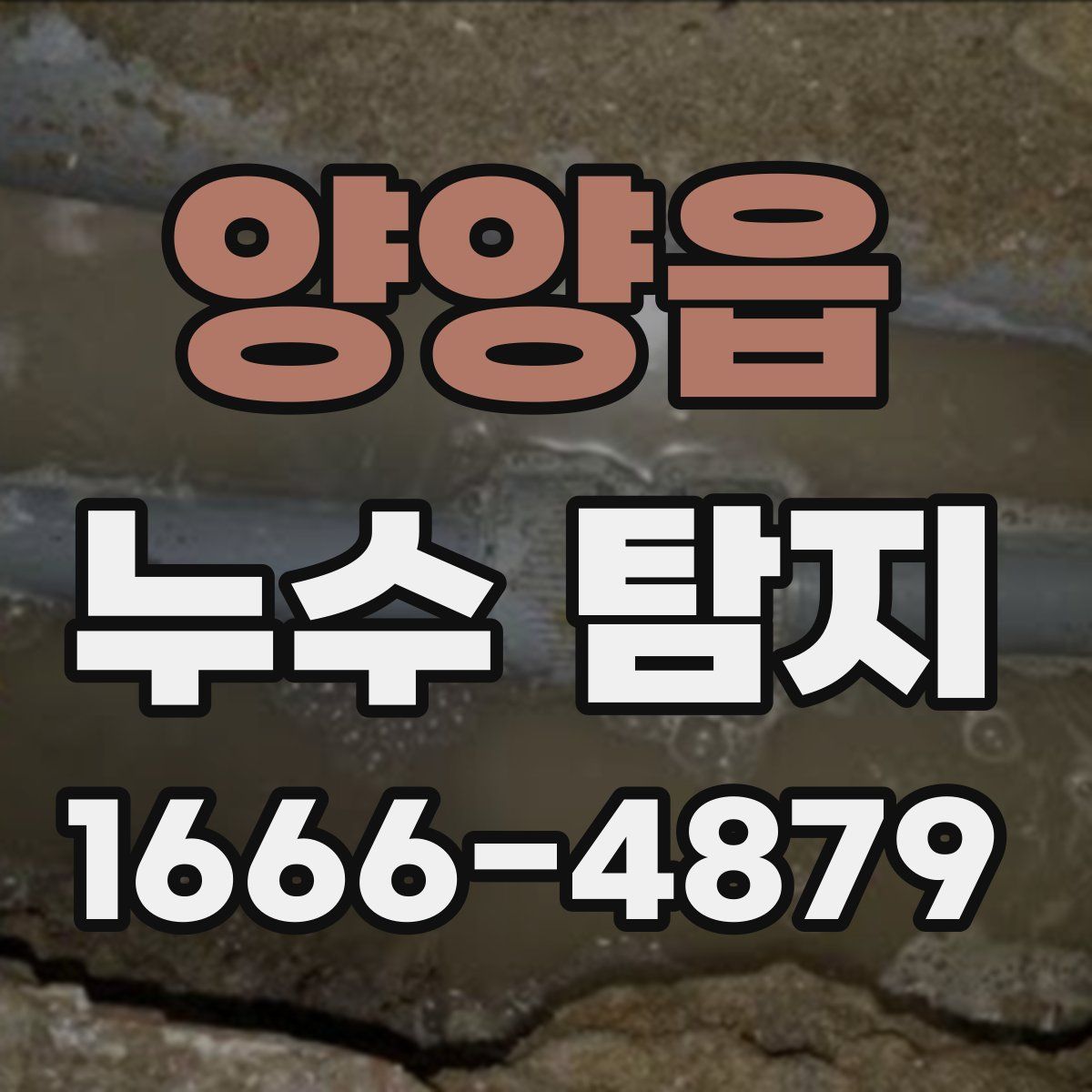 양양읍 누수 탐지