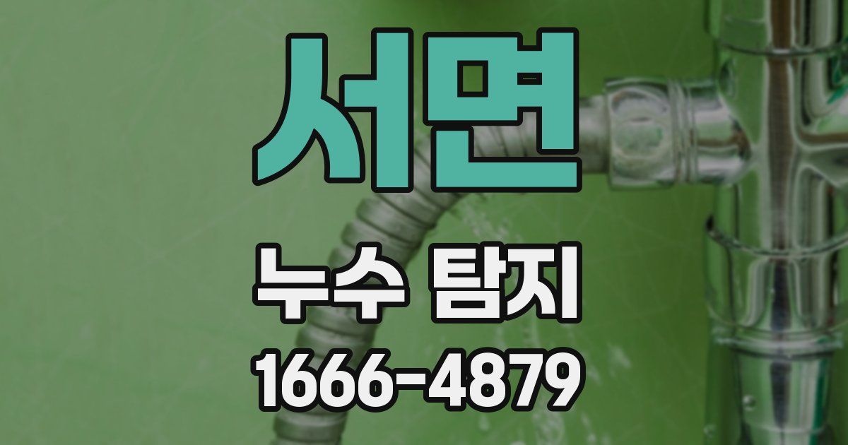 서면 누수 탐지