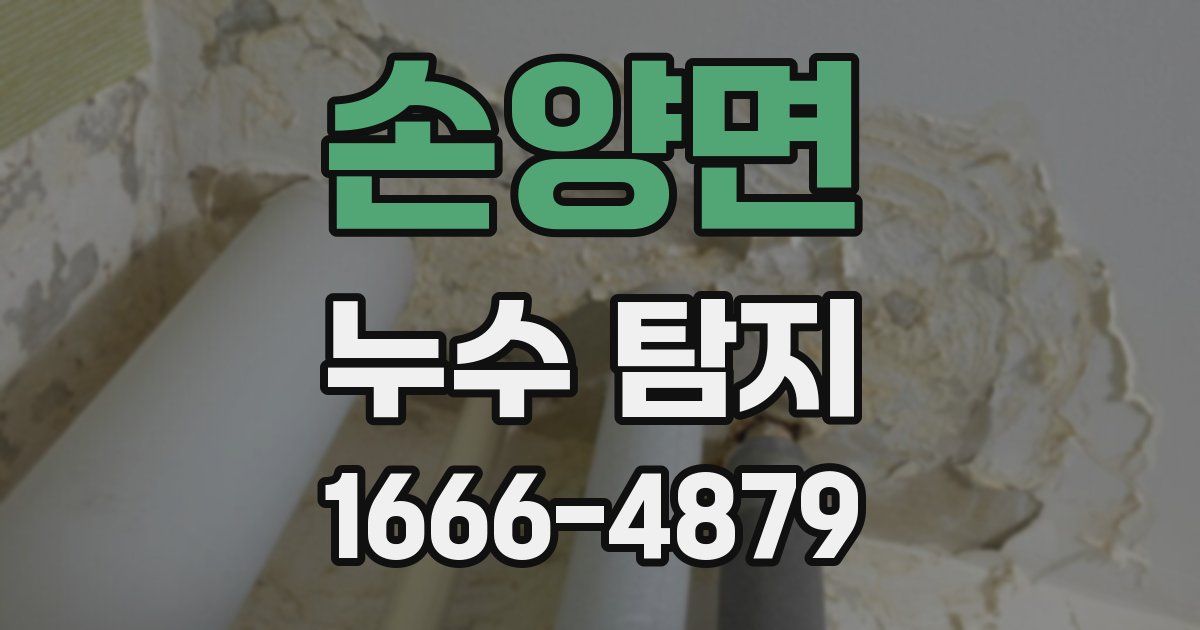 손양면 누수 탐지