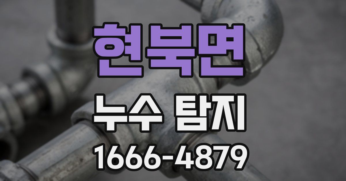 현북면 누수 탐지