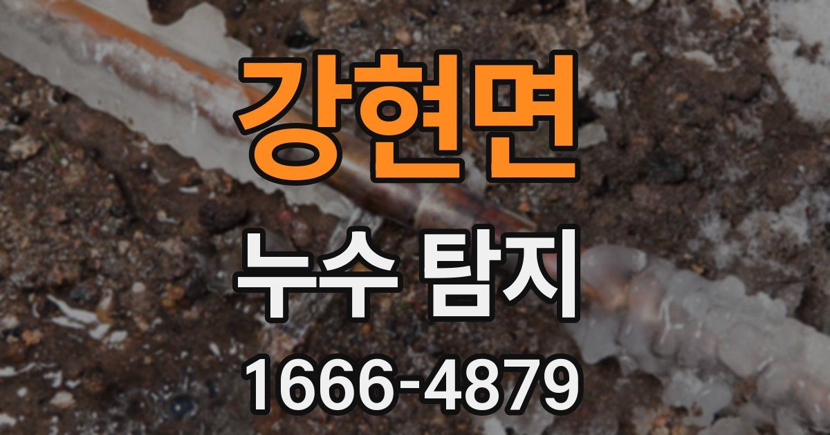 강현면 누수 탐지